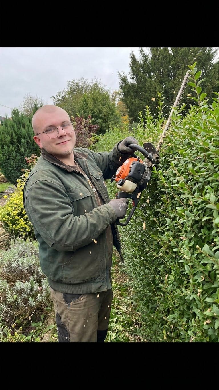 Heckenschnitt frechen